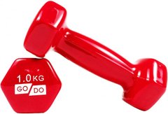 Гантели для фитнеса виниловые 1 кг 2 шт набор FORTE GO DO GD1R красный