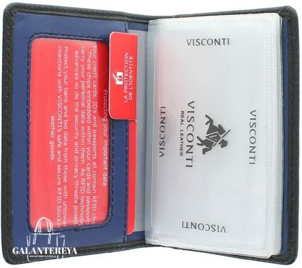 Визитница кожаная Visconti VSL24