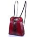 Женская кожаная сумка-рюкзак DESISAN SHI3132 6