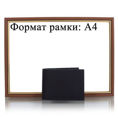 Чоловічий шкіряний гаманець SVETLANA ZUBKO (СВЕТЛАНА ЗУБКО) SVZL0101-00