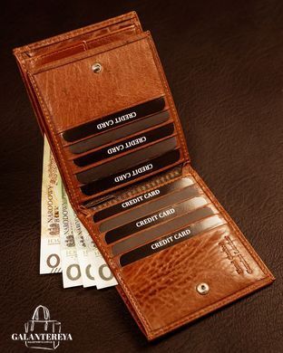 Портмоне мужское кожаное Badura B-N01-MIL