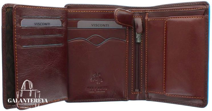 Кошелек мужской кожаный Visconti ALP87