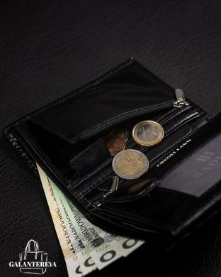 Гаманець чоловічий шкіряний Badura B-N575-MIL