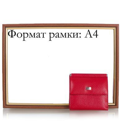 Кошелек женский кожаный DESISAN SHI067-1-2FL