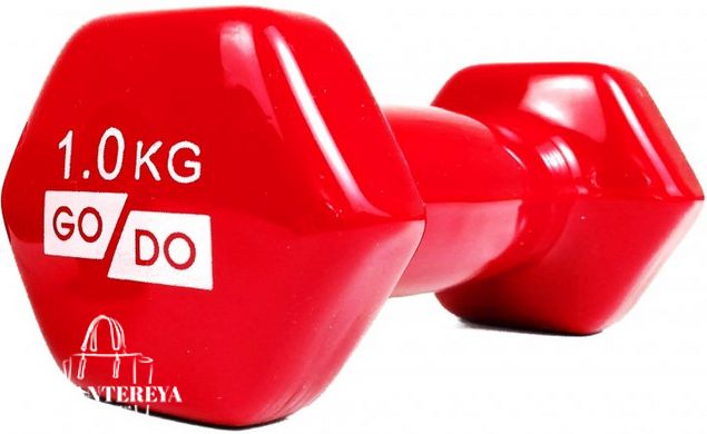 Гантели для фитнеса виниловые 1 кг 2 шт набор FORTE GO DO GD1R красный