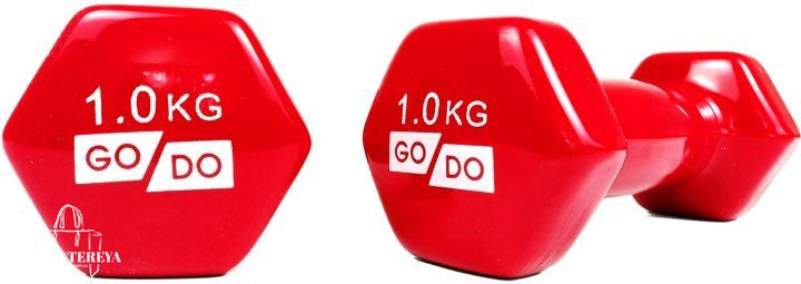 Гантелі для фітнесу вінілові 1 кг 2 шт набір FORTE GO DO GD1R червоний