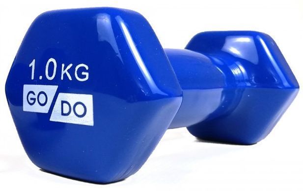 Гантелі для фітнесу вінілові 1 кг 2 шт набір FORTE GO DO GD1B синій