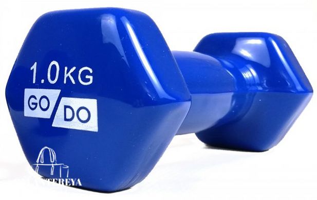 Гантели для фитнеса виниловые 1 кг 2 шт набор FORTE GO DO GD1B синий
