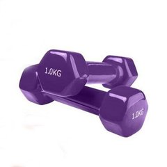 Гантели для фитнеса виниловые 1 кг 2 шт набор FORTE GO DO GD1P фиолетовый