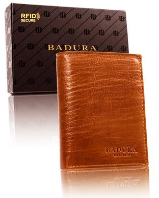 Гаманець чоловічий шкіряний Badura B-N62-MIL
