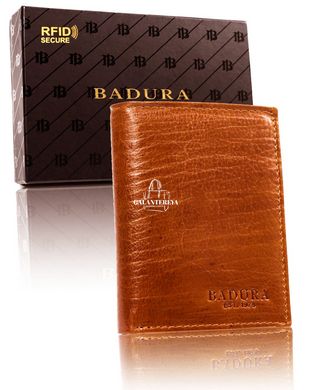 Кошелек мужской кожаный Badura B-N62-MIL