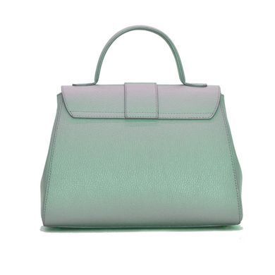 Жіноча шкіряна сумка Italian fabric bags 2304