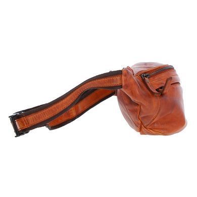 Сумка на пояс чоловіча шкіряна Ashwood D102