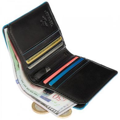 Кошелек мужской кожаный Visconti ALP92 Tignes