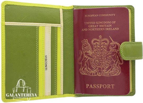 Обложка для паспорта кожаная Visconti RB75 - Sumba