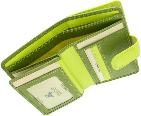 Гаманець жіночий шкіряний Visconti RB51 - Fiji
