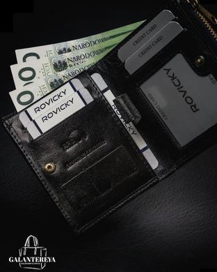 Гаманець чоловічий шкіряний ROVICKY 1006-03-BOR