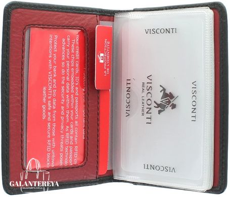 Візитниця шкіряна Visconti VSL24