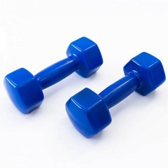 Гантели для фитнеса виниловые 2 кг 2 шт набор FORTE GD2B синий