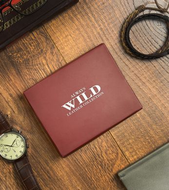 Гаманець чоловічий шкіряний Always Wild N20197L-VTK-N