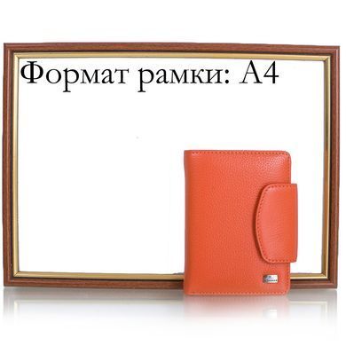 Кошелек женский кожаный DESISAN SHI086-180
