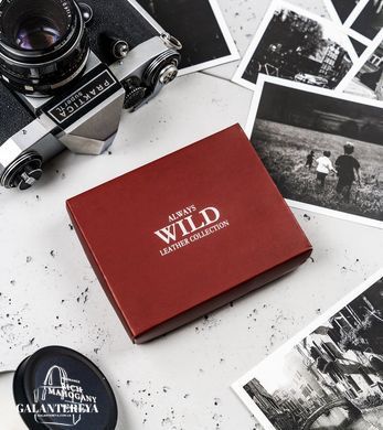 Кошелек мужской кожаный Always Wild N20197L-VTK-N