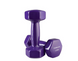 Гантели для фитнеса виниловые 2.5 кг 2 шт набор FORTE IronMaster GD2.5P фиолетовый
