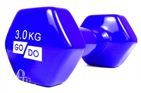 Гантели для фитнеса виниловые 3 кг 2 шт набор FORTE GO DO GD3B синий