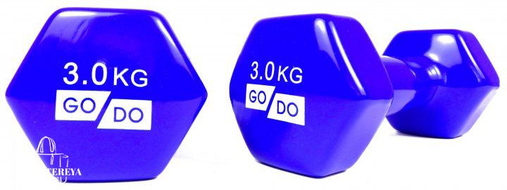Гантели для фитнеса виниловые 3 кг 2 шт набор FORTE GO DO GD3B синий