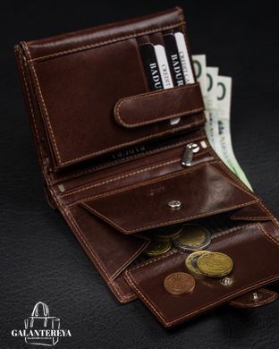 Кошелек мужской кожаный Badura PO_M034BR_CE