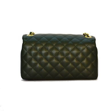 Женская кожаная сумка Italian fabric bags 0144
