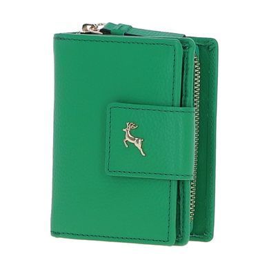Кошелек женский кожаный Ashwood X30