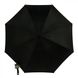 Зонт-трость женский полуавтомат Fulton The National Gallery Bloomsbury-2 L847 Black (Черный) 2