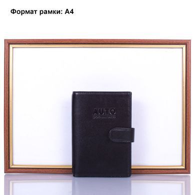 Органайзер для документов мужской кожаный DESISAN SHI102-1
