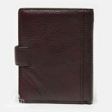 Портмоне мужское кожаное Tailian V1T228D-H33-BE-crimsom