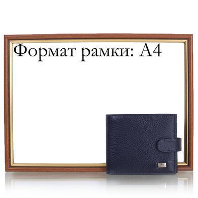 Портмоне мужское кожаное DESISAN SHI087-142