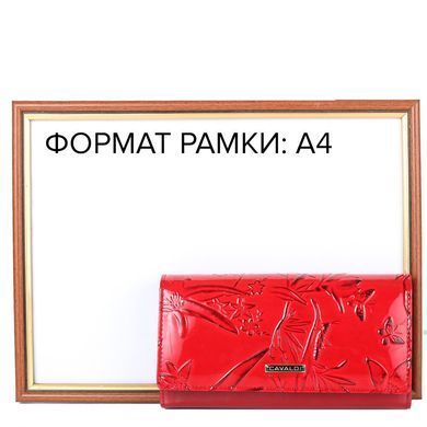 Кошелек женский кожаный CAVALDI DNKPN27
