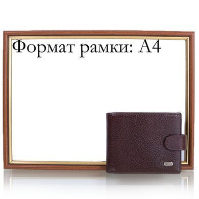 Портмоне мужское кожаное DESISAN SHI080-142