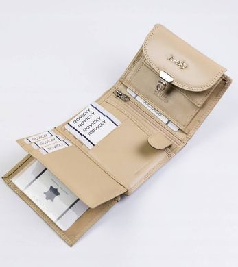 Гаманець жіночий шкіряний ROVICKY R-RD-19-GCL-Q