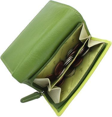 Кошелек женский кожаный Visconti RB43 - Bora