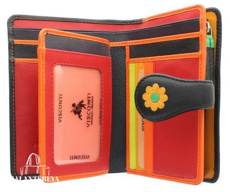 Шкіряний жіночий гаманець Visconti DS82 - Spanish