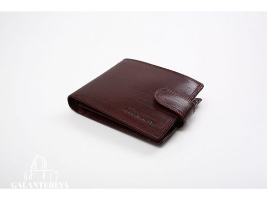 Мужское кожаное портмоне Horton Collection TR996-198B коричневый