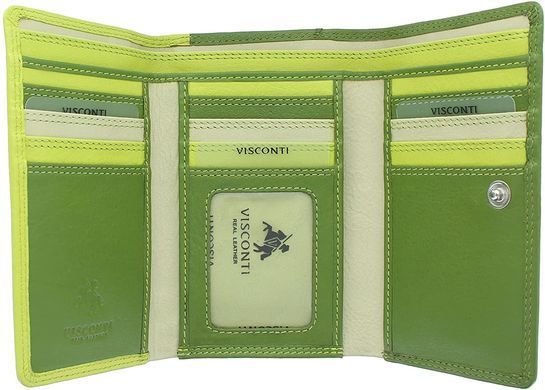 Кошелек женский кожаный Visconti RB43 - Bora