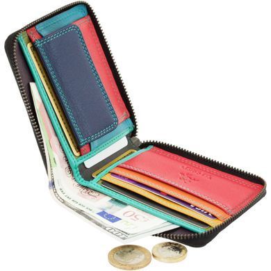Кошелек женский кожаный Visconti SP29 Picasso