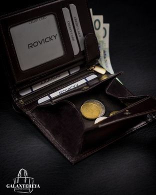 Кошелек мужской кожаный ROVICKY 1537-03-BOR