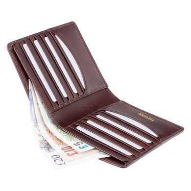 Кошелек мужской Visconti TSC49 Matteo c RFID