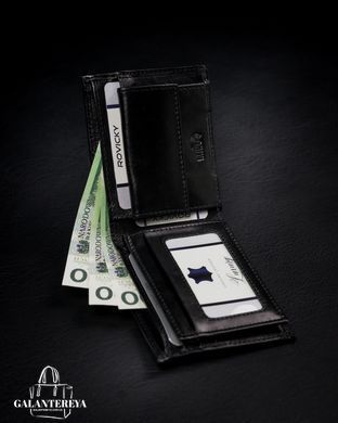 Кошелек мужской кожаный ROVICKY 1540-03-BOR