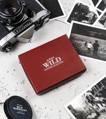 Кошелек мужской кожаный ALWAYS WILD N4L-VTK-BOX