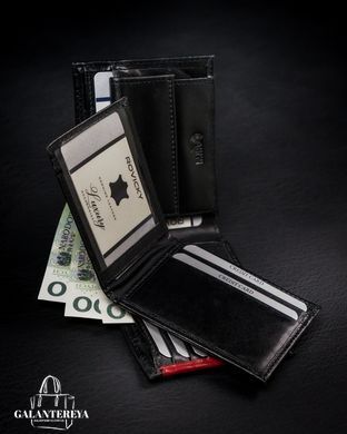 Кошелек мужской кожаный ROVICKY 1540-03-BOR