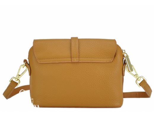 Женская кожаная сумка Riche W14-663LB коричневый